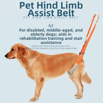 Lemmikloomatarvete kaasaskantav tagajalgade abivöö puuetega eakatele koertele väikestele ja keskmise suurusega koertele mõeldud rehabilitatsioonikoolituse abivöö