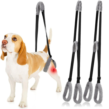 Φορητή ζώνη υποβοήθησης πίσω ποδιών για ηλικιωμένους σκύλους με αναπηρία, ζώνη βοηθού εκπαίδευσης αποκατάστασης και εκπαίδευσης για μικρούς και μεσαίους σκύλους