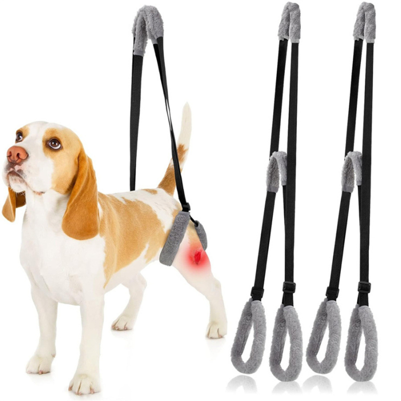 Lemmikloomatarvete kaasaskantav tagajalgade abivöö puuetega eakatele koertele väikestele ja keskmise suurusega koertele mõeldud rehabilitatsioonikoolituse abivöö