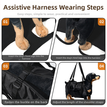 Βοήθημα περπατήματος σκύλου Amazon για διασυνοριακή χρήση με σακίδιο πλάτης σκύλου, ζώνη στήριξης ποδιών σκύλου, ζώνη αποκατάστασης, μεταφορέας ανύψωσης σκύλου