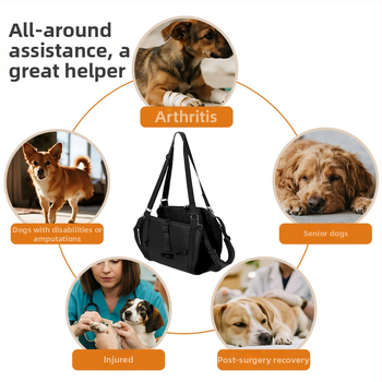 Βοήθημα περπατήματος σκύλου Amazon για διασυνοριακή χρήση με σακίδιο πλάτης σκύλου, ζώνη στήριξης ποδιών σκύλου, ζώνη αποκατάστασης, μεταφορέας ανύψωσης σκύλου