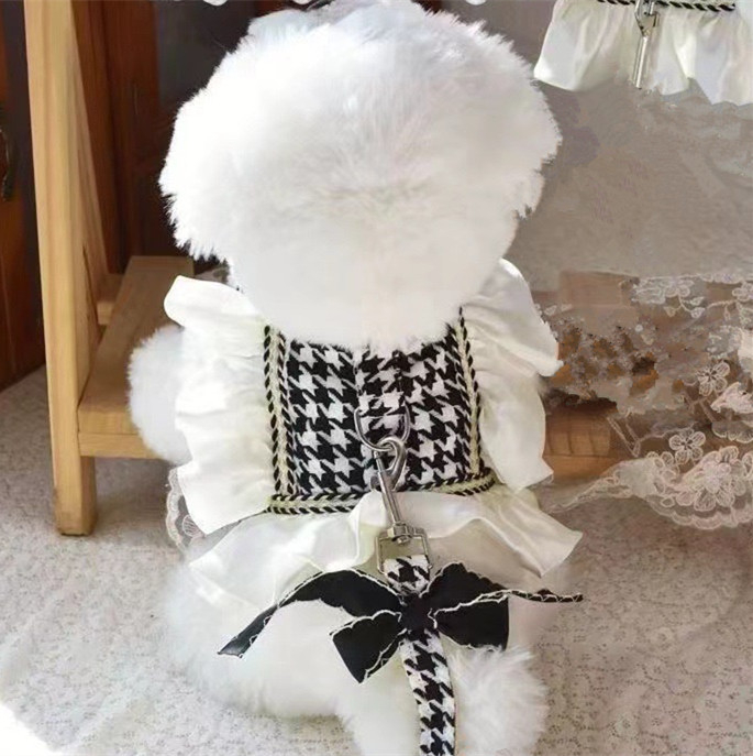 Koera-kassi lõhnaga veojõuköis, vestiga, rinnal seljal olevad riided, lemmiklooma keha, teddy, kõndimiskoera köiekomplekt