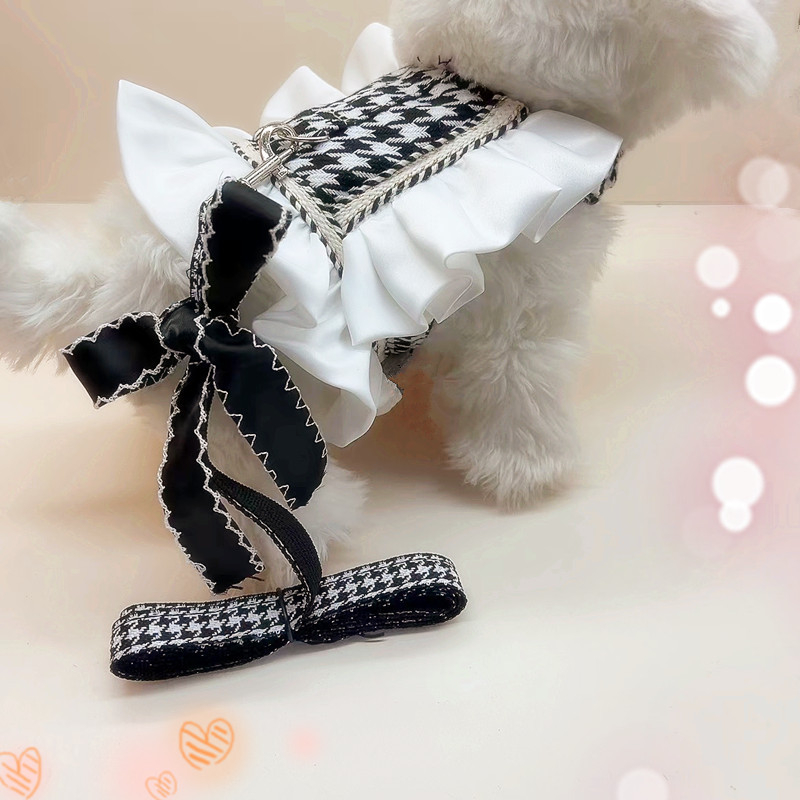 Koera-kassi lõhnaga veojõuköis, vestiga, rinnal seljal olevad riided, lemmiklooma keha, teddy, kõndimiskoera köiekomplekt