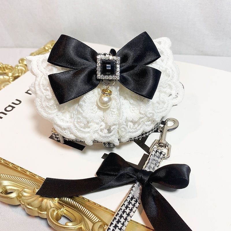 Koera-kassi lõhnaga veojõuköis, vestiga, rinnal seljal olevad riided, lemmiklooma keha, teddy, kõndimiskoera köiekomplekt