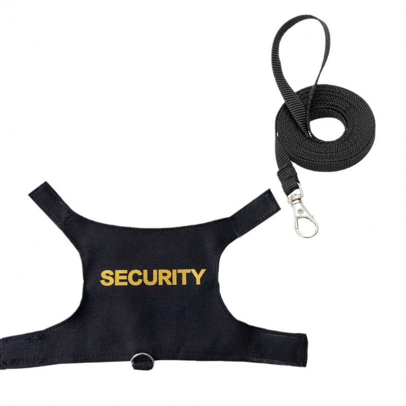 Lesă pentru șopârlă, ham pentru animale de companie pentru uz exterior, lesă pentru veveriță cameleon, îmbrăcăminte, articole pentru animale mici, călătorii în siguranță