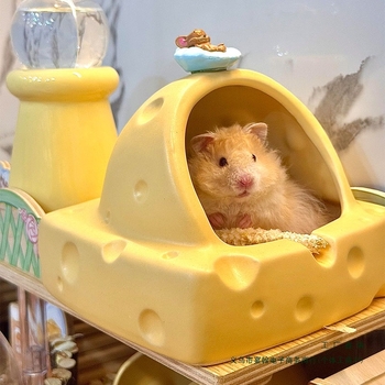 Hamsteripesa 2025. aasta suvine uus mudel Kuldse Karu jahutusmaja Jahutav keraamiline jäätunne Lihtne puhastada Ümarad nurgad Lemmikloomadele pole muhke