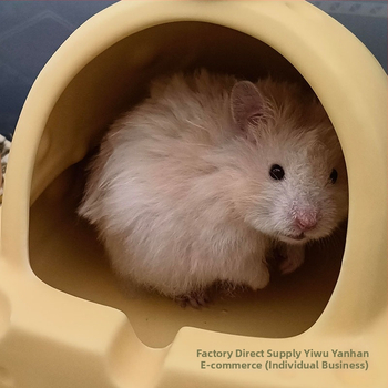 Hamsteripesa 2025. aasta suvine uus mudel Kuldse Karu jahutusmaja Jahutav keraamiline jäätunne Lihtne puhastada Ümarad nurgad Lemmikloomadele pole muhke