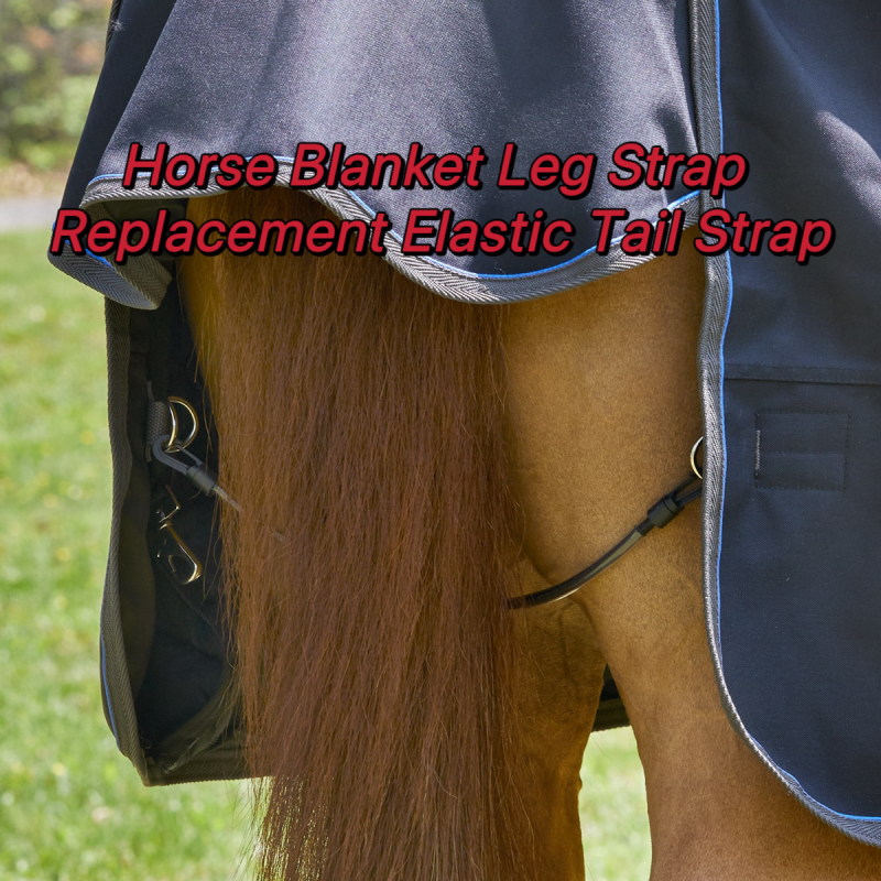 Pătură pentru cal cu curea elastică reglabilă pentru coadă, cu clemă dublă pentru cap, curea elastică pentru picior, curea elastică de înlocuire pentru picior, pătură pentru cal