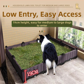 Šunų tualetas dideliems šunims, vidutinio dydžio patinų pisuaras, borderkolio auksaspalvis retriveris, fiksuoto taško tualetas tuštinimuisi