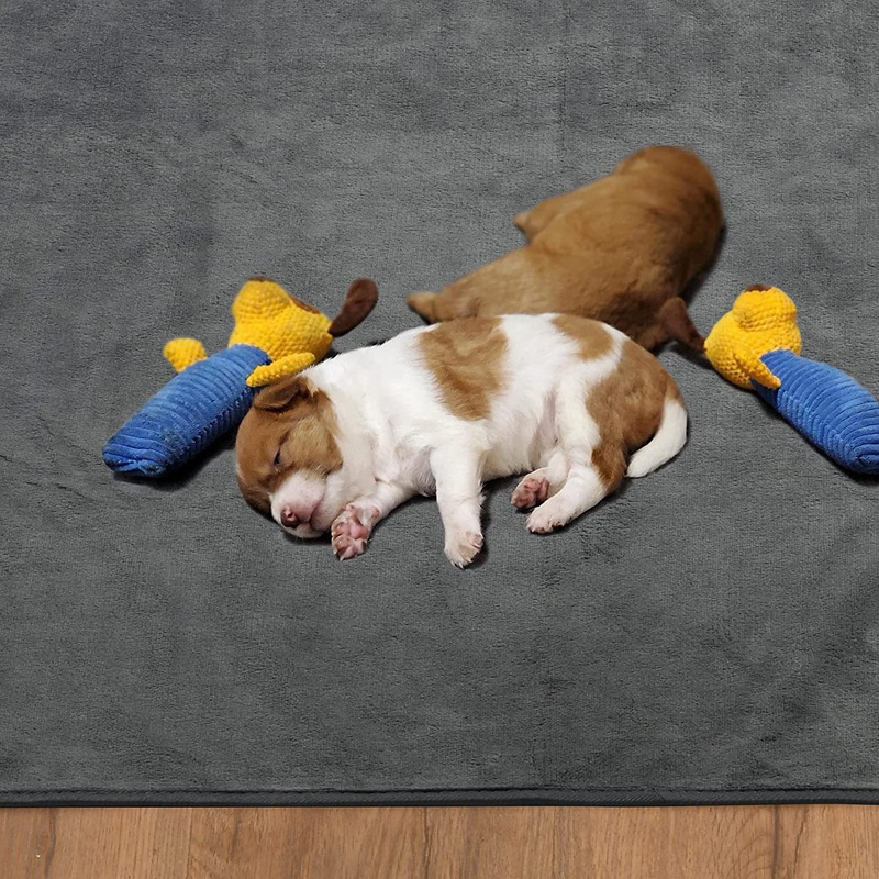 Amazon eladó csúszásmentes szőnyeg kisállatoknak nagy kutyaketreces szőnyeg vizeletálló vízálló korallgyapjú alvószőnyeg mosható