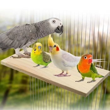 Στάση ετικέτας για παπαγάλους και χάμστερ, μασίφ ξύλινη βάση για κουνέλι Totoro, βάση για δέρμα τίγρης, αξεσουάρ κλουβιών πουλιών Xuanfeng