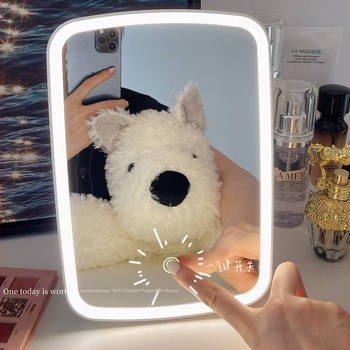 Огледало Ins с LED осветление, просто настолно огледало за грим, домашно, студентско, общежитие, настолен дресинг, Zhigao, кръгло