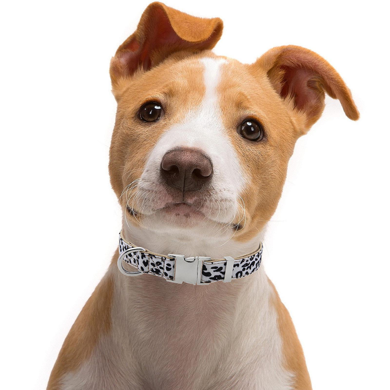 Divatos kutyanyakörv macskanyakörv ötvözetből készült húzókötél ultravékony kisállatnyakörv mély aljú leopárdmintás kutyanyakörv