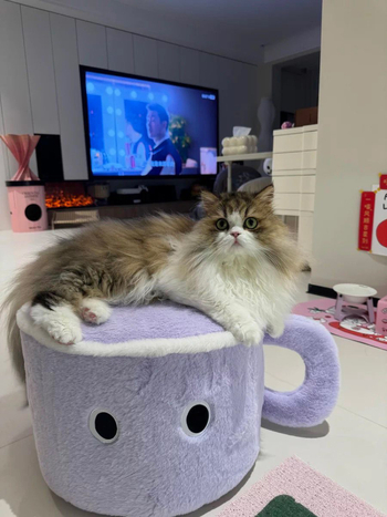 Παιδικό χαμηλό σκαμπό για αλλαγή παπουτσιών, πλενόμενος καναπές πόρτας, δημιουργικό σκαμπό σαλονιού, νέο σκαμπό σπιτιού, χαριτωμένο κινούμενο σχέδιο