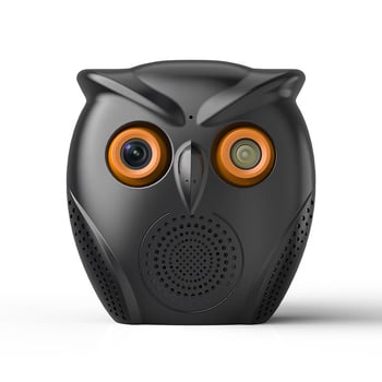 Privatni model kamere Owl Big Horn s Bluetooth audio noćnim vidom HD ukrasnim monitorom
