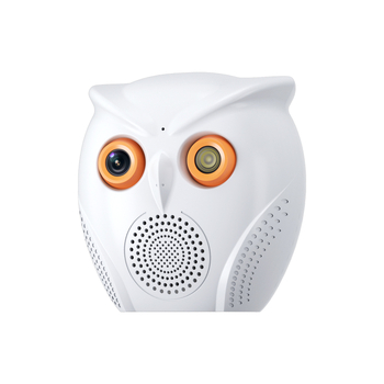 Privatni model kamere Owl Big Horn s Bluetooth audio noćnim vidom HD ukrasnim monitorom