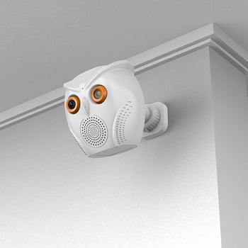 Privatni model kamere Owl Big Horn s Bluetooth audio noćnim vidom HD ukrasnim monitorom