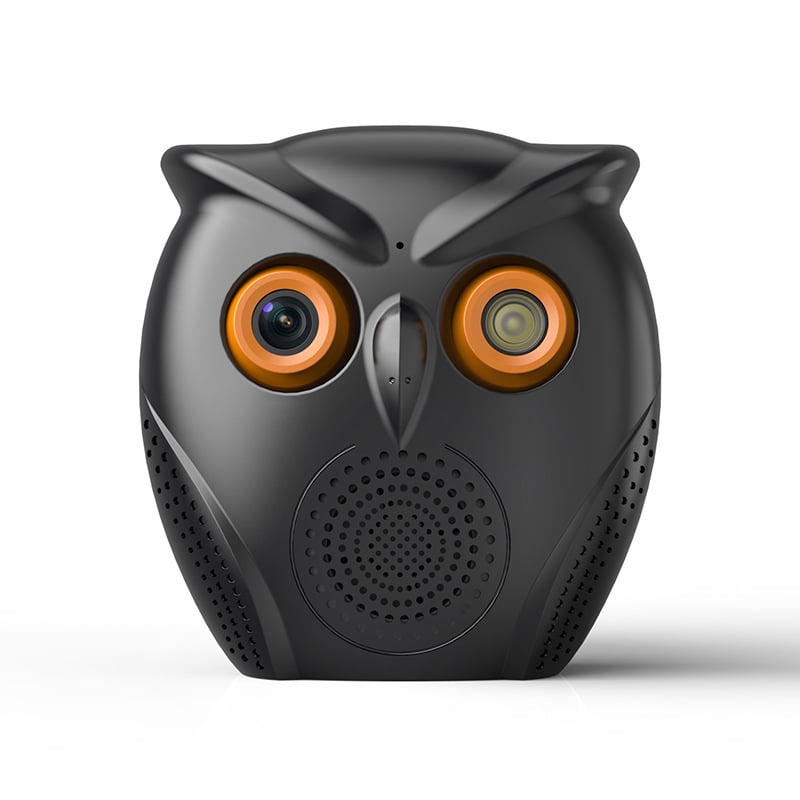 Cameră model privat Owl Big Horn cu Bluetooth Audio Night Vision HD Ornament Monitor