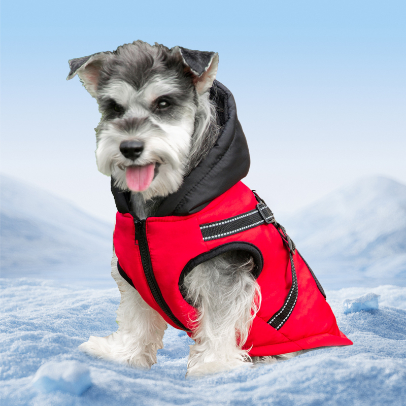 Új őszi és téli kisállatruházat, vastagított, kis és közepes méretű kutyáknak szánt, meleg, szélálló pamut kutyaruhák, kisállatruházat nagykereskedelemben