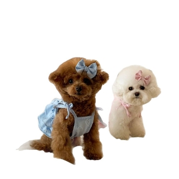 Lõuna-Korea sünnipäevakarneval kevad- ja suvekuu uus armastusõlg Bixie-karu kaisukoerakoogi seelik lühike lips