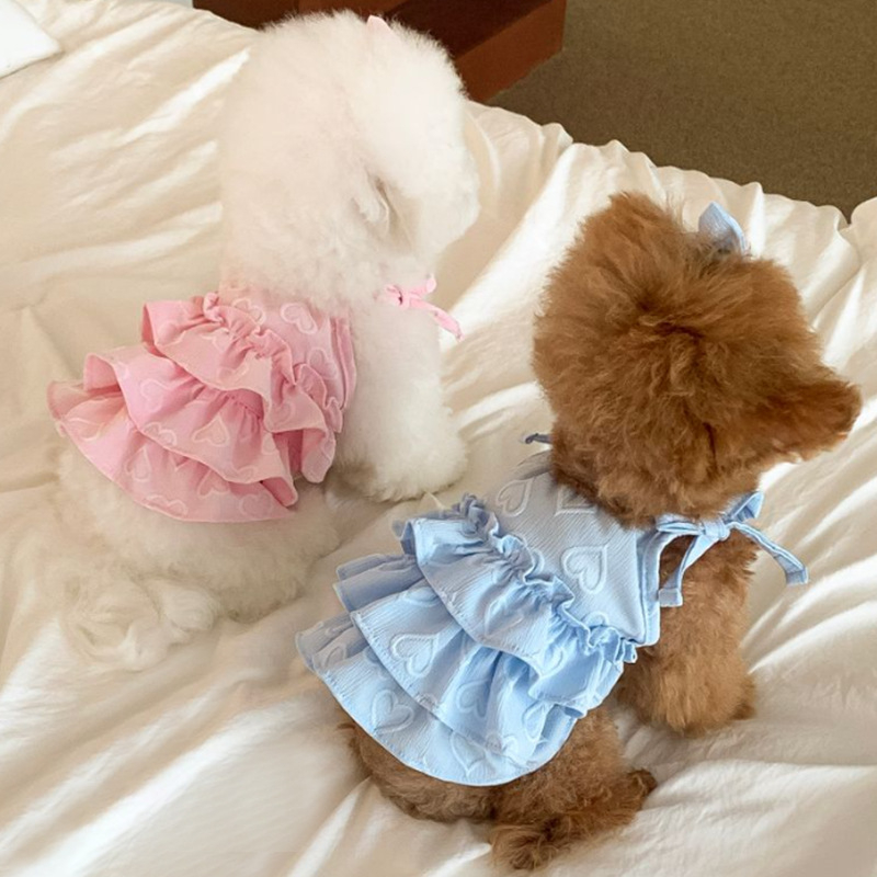 Lõuna-Korea sünnipäevakarneval kevad- ja suvekuu uus armastusõlg Bixie-karu kaisukoerakoogi seelik lühike lips