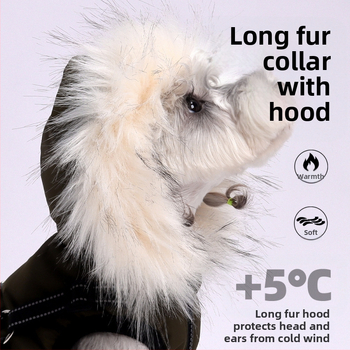 Φθινοπωρινά και Χειμερινά Νέα Ρούχα Σκύλων για Υπαίθριες Δραστηριότητες Κουταβιών με Κουκούλα, Επένδυση από Φλις, Αντιψυκτικό Μπουφάν για Κατοικίδια Σκύλοι, Γιλέκο Teddy Bichon