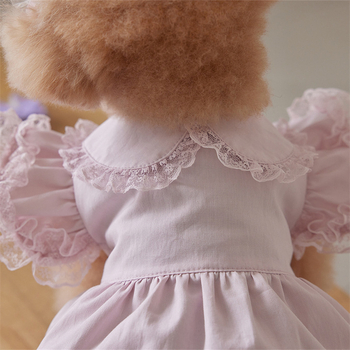 Άνοιξη και καλοκαίρι ρούχα για κατοικίδια, σκύλος, γάτα, άνοιξη και καλοκαίρι, δαντέλα, μανίκια, γυναικεία φορέματα, κατασκευαστές μικρού σώματος, αρκουδάκι