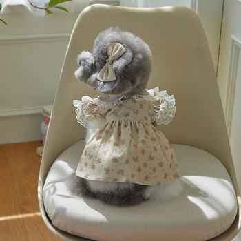 Ρούχα κατοικίδιων για σκύλους και γάτες Φθινόπωρο και Χειμώνας Κατασκευαστής φορεμάτων με τυπωμένα κορδόνια Μικρά ρούχα για αρκουδάκια