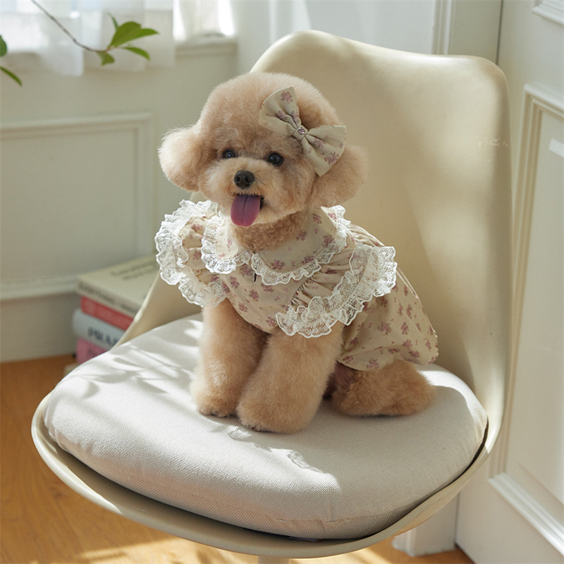 Kisállatruhák kutyáknak és macskáknak Őszi és téli kordbársony mintás ruhagyártó kis mackós ruhák