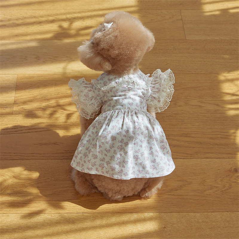 Kisállatruhák kutyáknak és macskáknak Őszi és téli kordbársony mintás ruhagyártó kis mackós ruhák