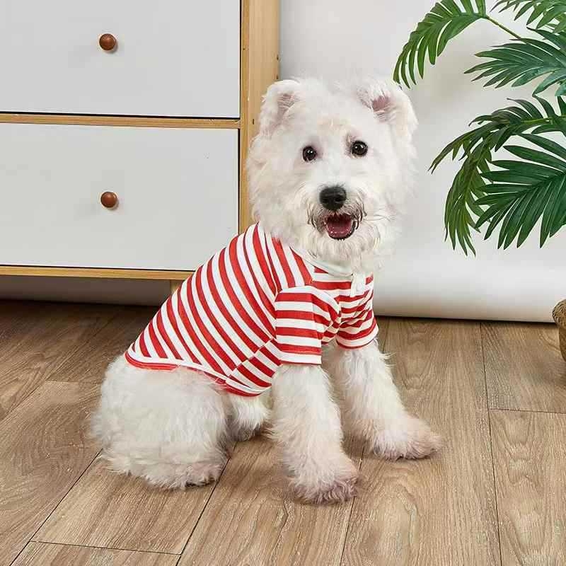 Lemmikloomariided Suvine õhuke koerapolosärk Teddy Bichon Väike kutsikas Kass Lemmikloomariided Hulgimüük