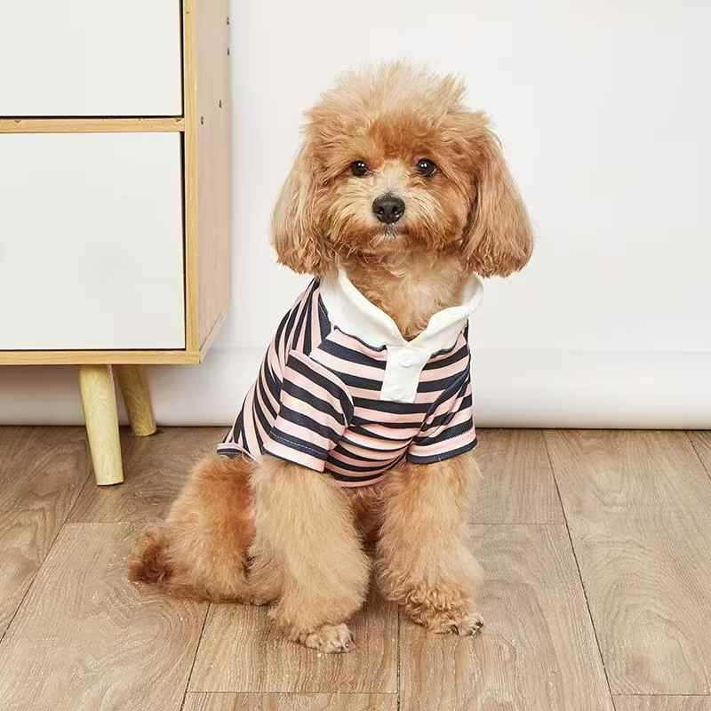 Lemmikloomariided Suvine õhuke koerapolosärk Teddy Bichon Väike kutsikas Kass Lemmikloomariided Hulgimüük