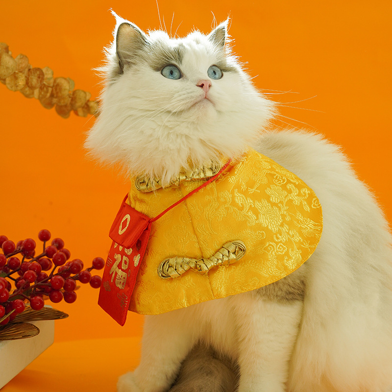 Джи Дзъ Дзъ Коте Танг Костюм Китайска Нова година Малък червен плик Празнично наметало Наметало Топло Есенно-Зимно Китайско Стилно Новогодишни Дрехи