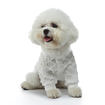 Διασυνοριακά ρούχα για σκύλους, φθινοπωρινά και χειμερινά, με βελούδινο πλέγμα σε αντίθεση χρώματος, ελαστικά ρούχα για κατοικίδια κατά της τριχόπτωσης