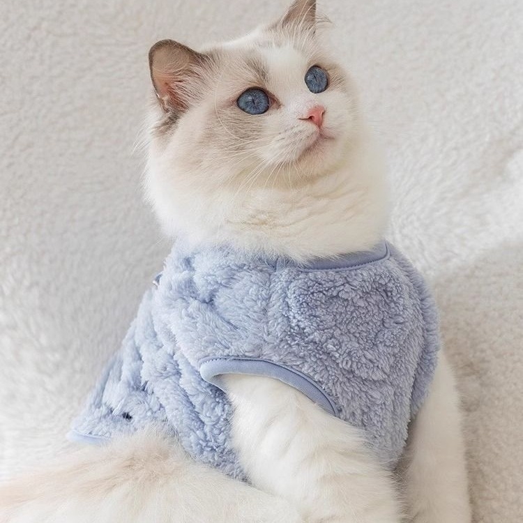 Χαριτωμένα ρούχα για γάτες Φθινόπωρο και Χειμώνα Plus Βελούδινο Γιλέκο από Πυκνό Φλις Ύφασμα Μαριονέτα Γάτα Μπλε Γάτα Κατοικίδιο Ρούχα Έλξης Δύο Πόδια