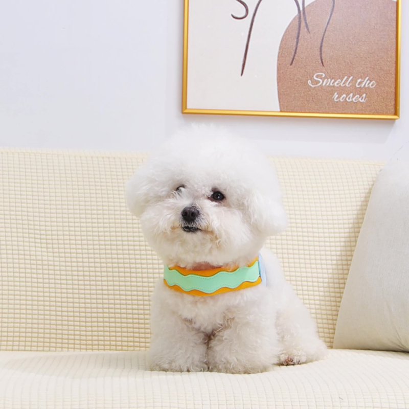 New Wave Dopamin Y-oblikovani povodac za pse na otvorenom, protiv odvajanja, plišani bišon, uže za hodanje malih pasa