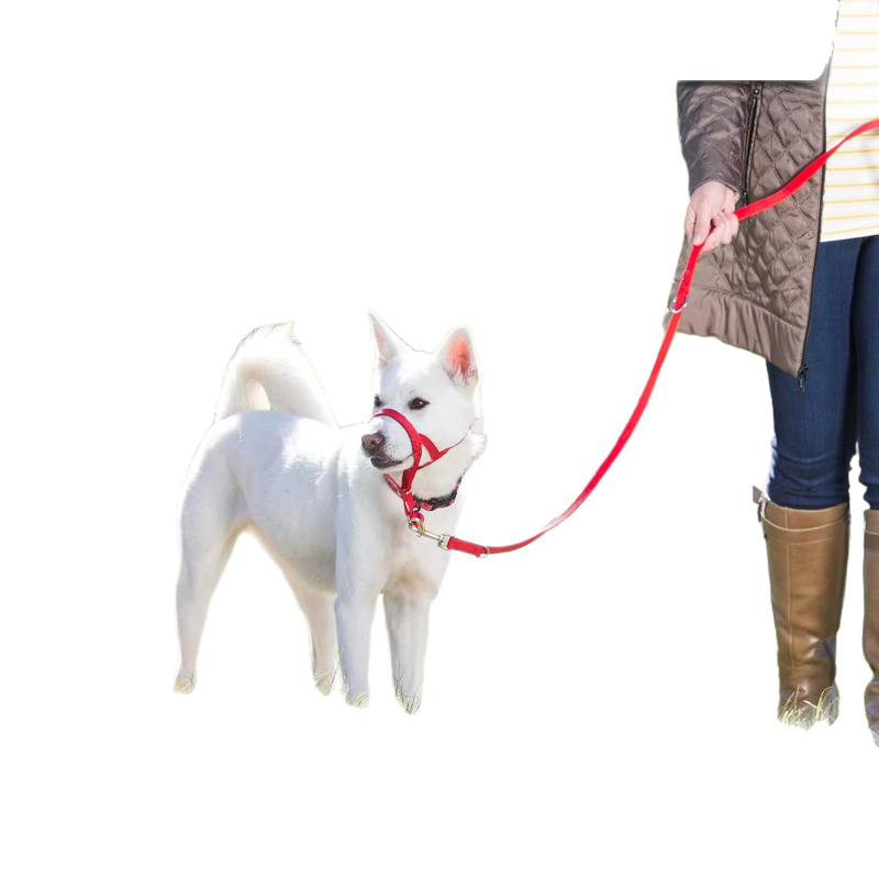 Amazon Leash Halt nagy, közepes és kis kutyapóráz sétáltatáshoz, gubancolódásgátló póráz nagy kutyáknak