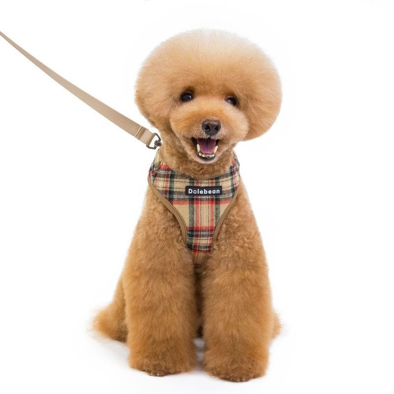 Koera lemmiklooma jalutusrihma rinnarihm ruuduline väikese ja keskmise suurusega koera jalutusrihma lemmikloomade riided rõivad