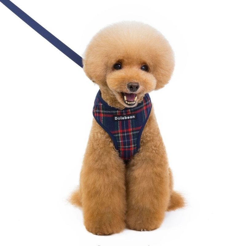 Koera lemmiklooma jalutusrihma rinnarihm ruuduline väikese ja keskmise suurusega koera jalutusrihma lemmikloomade riided rõivad