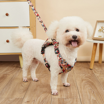 Amazon Explosions Pet Chest Back kínai stílusú mellkas hát Teddy Bixiong új mellkasi öv vonókötél kutyasétáltató kötél