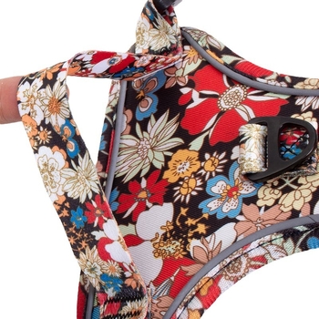 Amazon Explosions Πλάτη Στήθους Κατοικίδιων Κινέζικου Στυλ Στήθους Πλάτης Teddy Bixiong Νέα Ζώνη Στήθους Σχοινί Έλξης Σχοινί για Περπάτημα Σκύλου