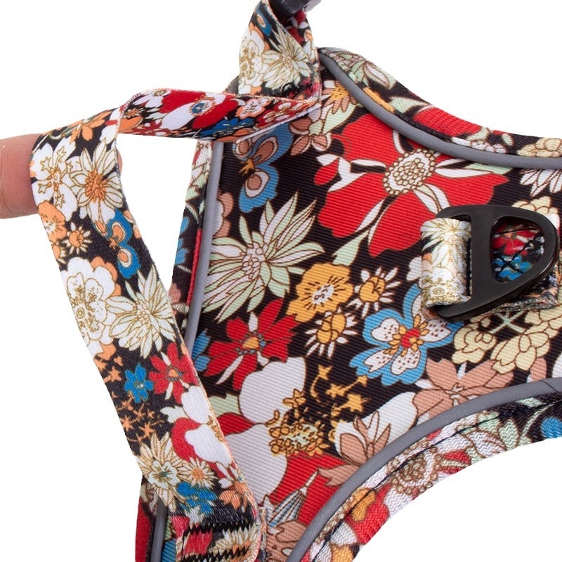 Amazon Explosions Pet Chest Back kínai stílusú mellkas hát Teddy Bixiong új mellkasi öv vonókötél kutyasétáltató kötél