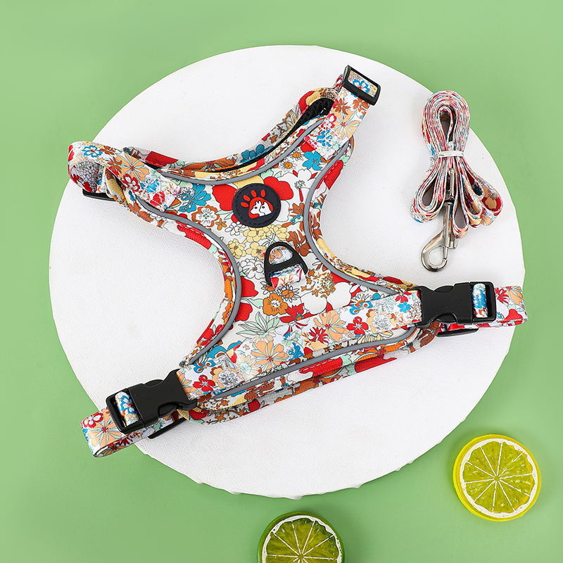 Amazon Explosions Pet Chest Back kínai stílusú mellkas hát Teddy Bixiong új mellkasi öv vonókötél kutyasétáltató kötél