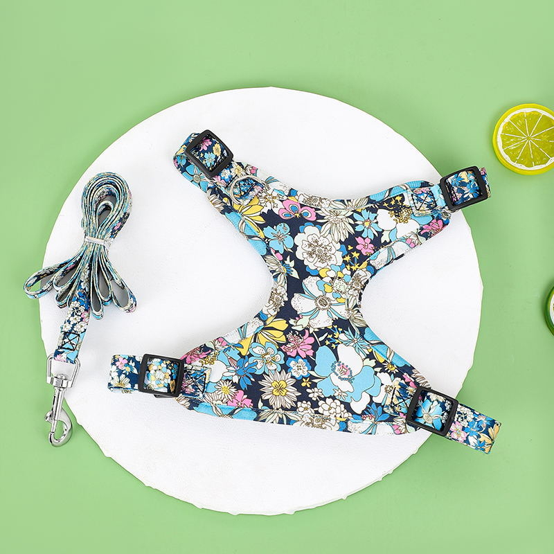 Amazon Explosions Pet Chest Back kínai stílusú mellkas hát Teddy Bixiong új mellkasi öv vonókötél kutyasétáltató kötél