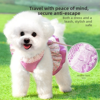 Λουρί γάτας Αντισπασίματος Ειδικό λουρί γάτας Ιμάντας στήθους για μικρό σκύλο Σχοινί για περπάτημα Λουρί γάτας Λουρί κατοικίδιων ζώων για περπάτημα σκύλου