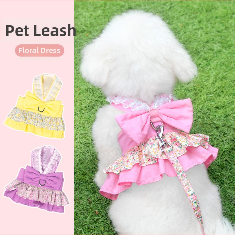 Kassirihm, purunemisvastane spetsiaalne kassirihm, väikese koera rinnarihm, köis, kõndimiskassirihm, lemmikloomarihm, kõndimiskoer