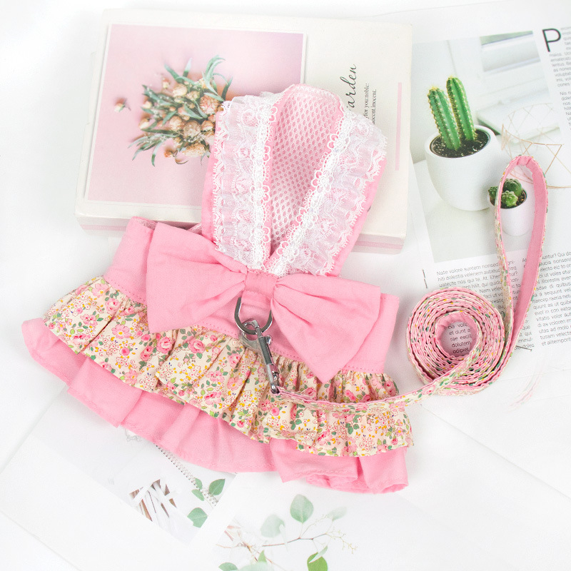 Kassirihm, purunemisvastane spetsiaalne kassirihm, väikese koera rinnarihm, köis, kõndimiskassirihm, lemmikloomarihm, kõndimiskoer