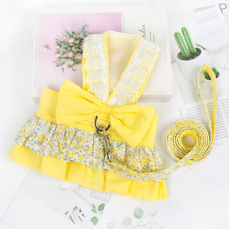 Kassirihm, purunemisvastane spetsiaalne kassirihm, väikese koera rinnarihm, köis, kõndimiskassirihm, lemmikloomarihm, kõndimiskoer