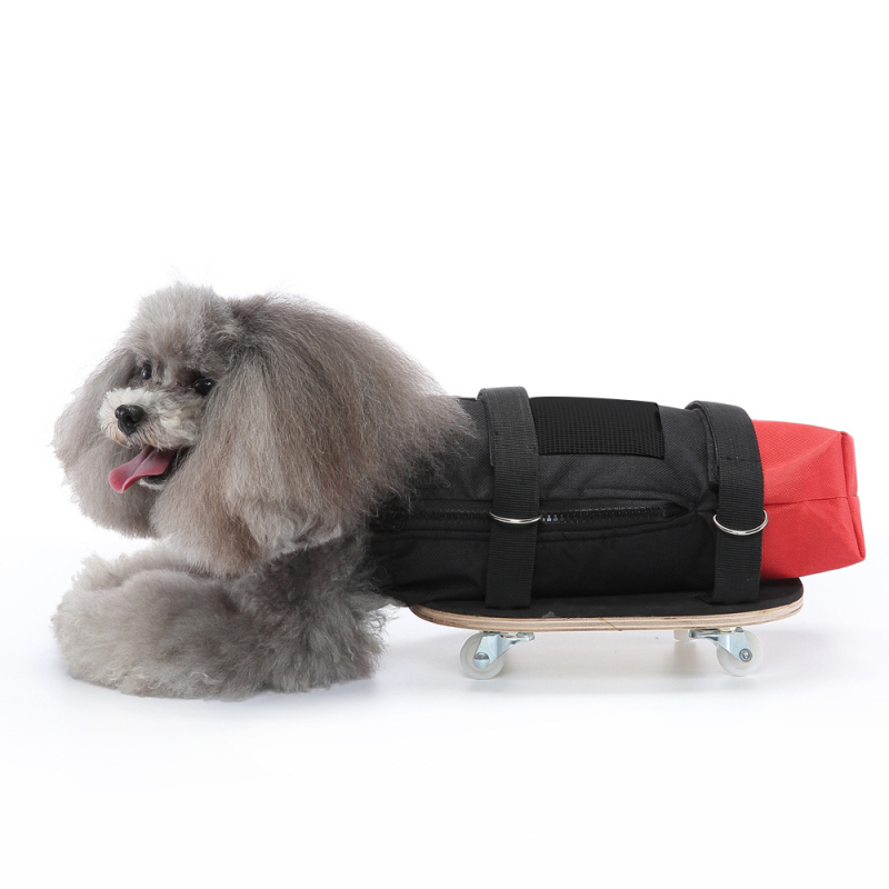 Kisállat-kellékek mozgáskorlátozott kutyáknak alsótest vontatótáska robogó kisállat-sétáltatási nehézségek robogó segített sétáltatás autó