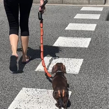 Koera veojõunöör suurte vorstide nöör, naljakad inimesed, väikesed ja keskmise suurusega koerad, taksikoer, corgi, lemmikloomatarbed, koera jalutusköis